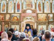 73-_dsc0244